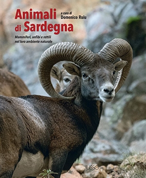 Animali di Sardegna
